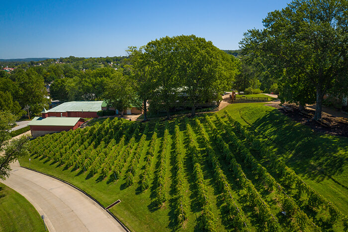 Hermann MO Wineries