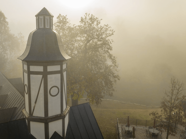 Hofgarten in fog