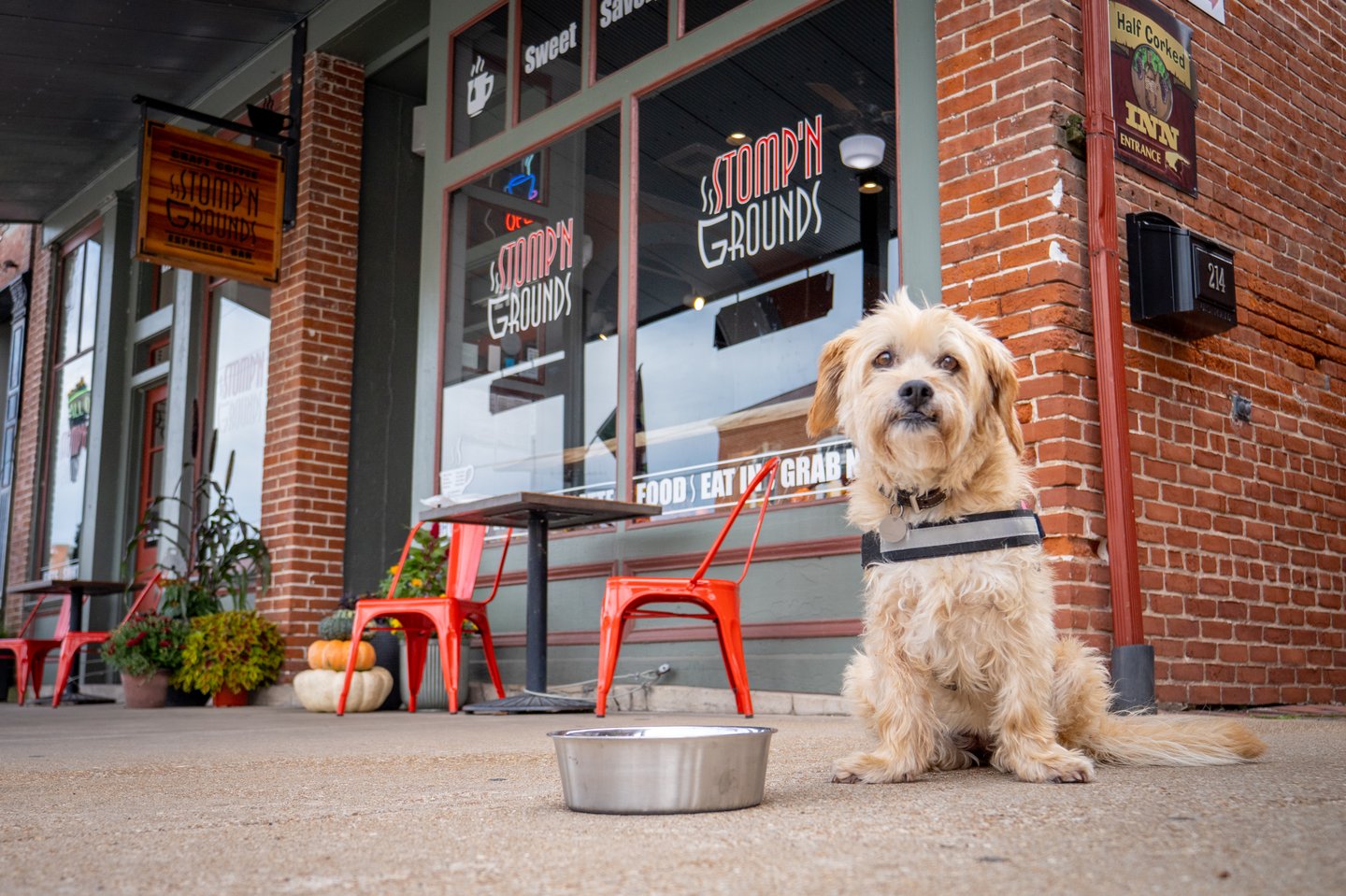 Pet Friendly Bed and Breakfasts and DogFriendly Wineries