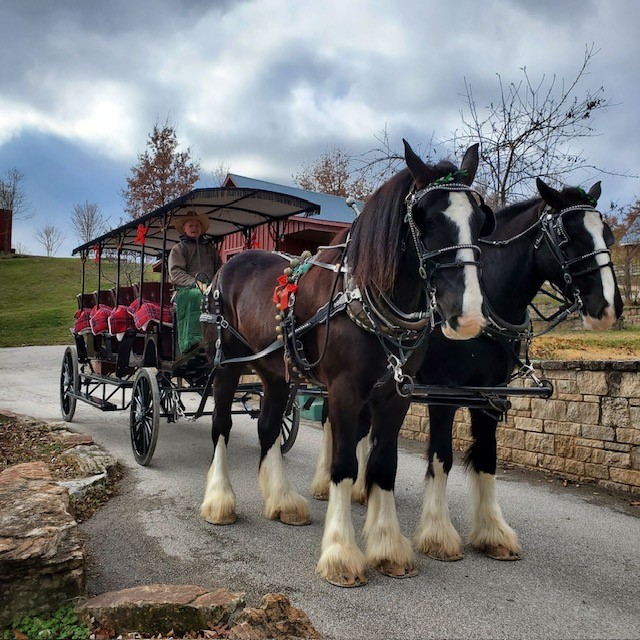 Christmastime in Hermann: Honoring Old Traditions & Creating New